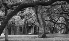 Antebellum