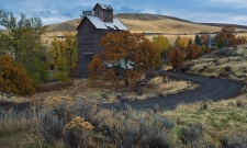 Granary Fall 2018