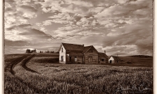 Homestead Antique