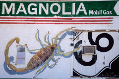 Magnolia Gas
