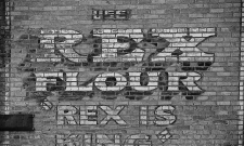 Rex Is King