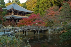 Asia