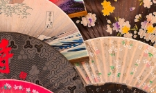 Colorful Fans