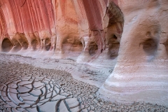 Desert