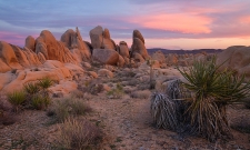 Desert Sunset