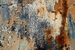 Abstract #1