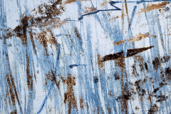 Abstract #6