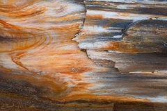 Gingko Petrified Forest State Park