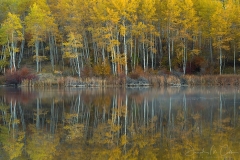 Calming Reflections