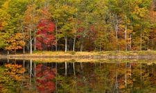 Fall Color Reflections Catskills