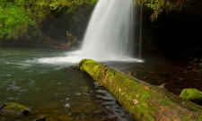 Upper Butte Creek Falls Sideview