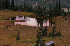 Tipsoo & Rainier