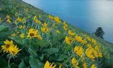 Wallowa Lake