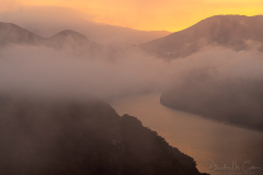 Above the Mist