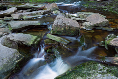 Elakala Falls