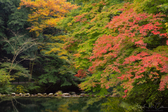 Fall Beginnings