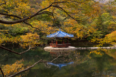 Fall Framing