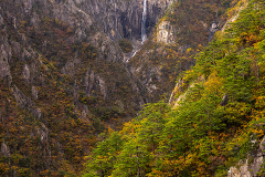 Falling Water
