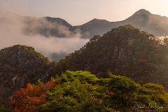 Mountain Morning