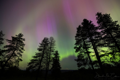 Northern Lights & Mt Adams