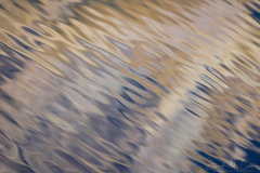 Ripples