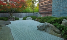 Blum Garden Courtyard Garden