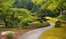 BRJGWA11SP Garden Path