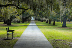 Garden Walk