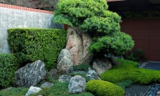 Mabe Hedge & Stone Work
