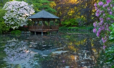 Japanese Garden Pond Hatley Castle