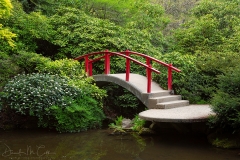 Kubota Garden Moonbridge