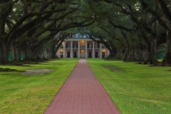 Oak Alley Morning