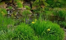 Oregon Gardens Cascade