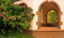 Rose & Arch