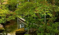 Samaritan Hosp Garden Hospital Pond H
