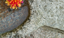 Baylis Garden Stone Work & Water Basin