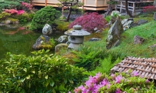 SFTG11SP Tea House