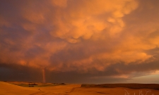 Mammatus Sky
