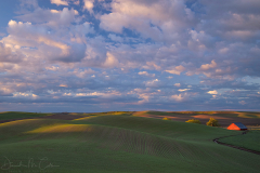 Morning On the Palouse