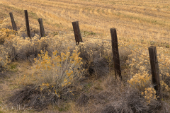 Out West